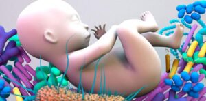 microbiota intestinal en un bebé